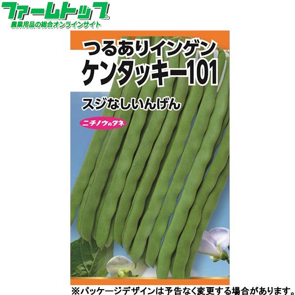 日本農産　野菜の種/種子　いんげん　つるありインゲン　ケンタッキー101　種　（追跡可能メール便発送　全国一律370円）17500