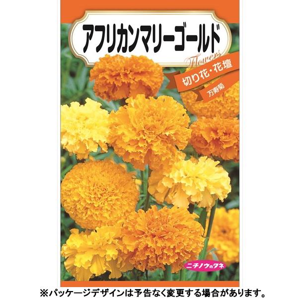 最大41 Offクーポン 日本農産 花の種 種子 マリーゴールド アフリカンマリーゴールド 種 追跡可能メール便発送 全国一律370円 Wantannas Go Id