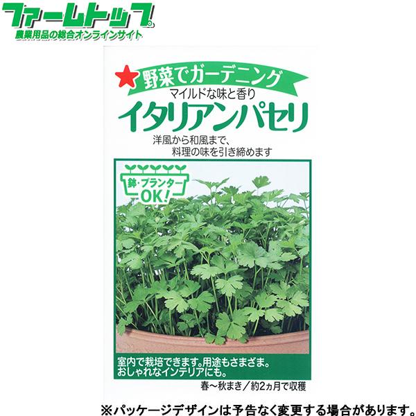 トーホク 野菜の種 種子 イタリアンパセリ 種 レターパックライト発送 全国一律370円