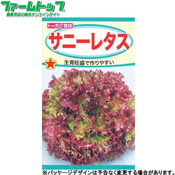 トーホク　野菜の種/種子　レタス　サニーレタス　内容量3ml　種　（追跡可能メール便発送　全国一律370円）03479　　　 | ブランド登録なし