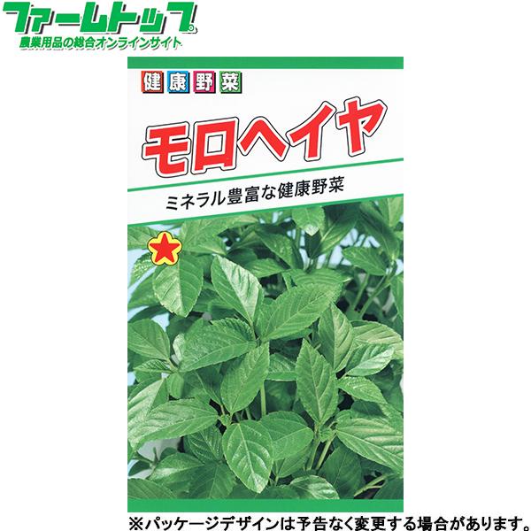 トーホク　野菜の種/種子　モロヘイヤ　内容量2ml　種　（追跡可能メール便発送　全国一律370円）02471　　　 | ブランド登録なし