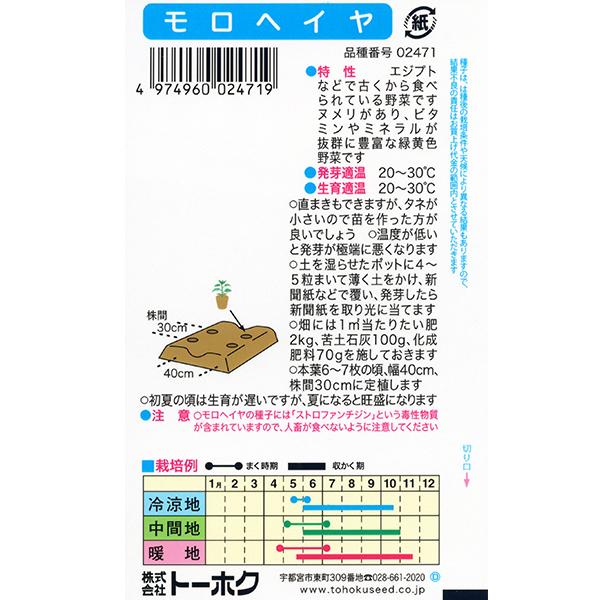 トーホク　野菜の種/種子　モロヘイヤ　内容量2ml　種　（追跡可能メール便発送　全国一律370円）02471　　　 | ブランド登録なし | 01