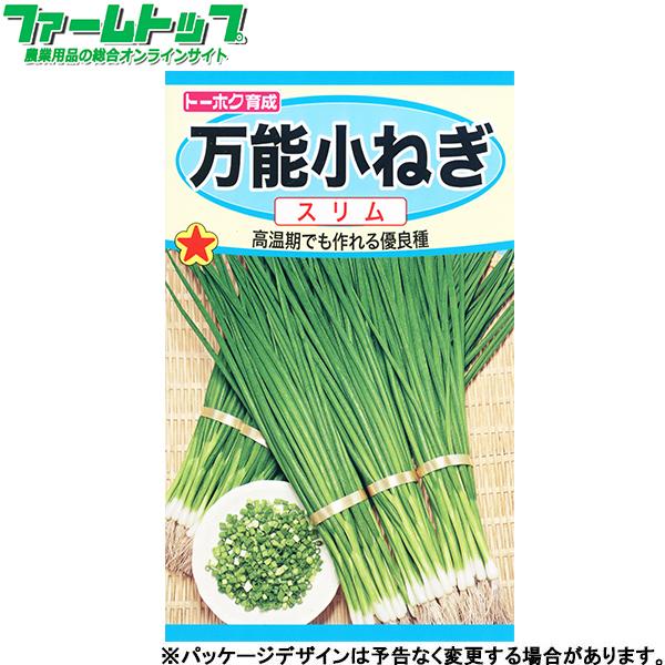 トーホク　野菜の種/種子　ねぎ　万能小ねぎ　内容量7ml　種　（追跡可能メール便発送　全国一律370円）02378　　　 | ブランド登録なし
