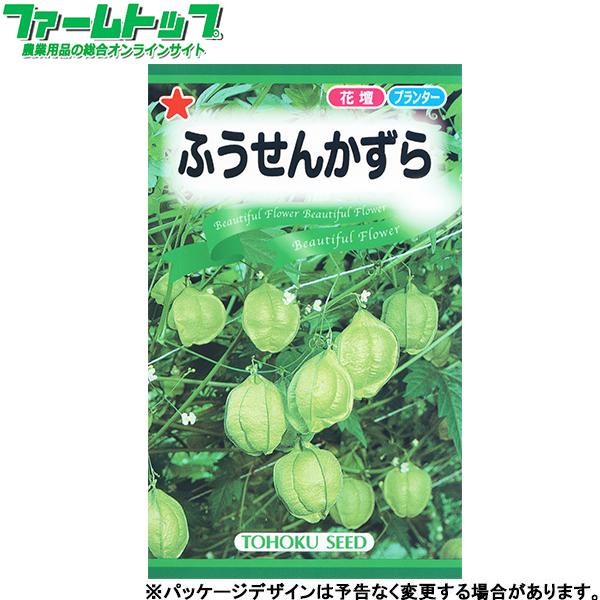 トーホク 花の種 種子 ふうせんかずら 種 レターパックライト発送 全国一律370円