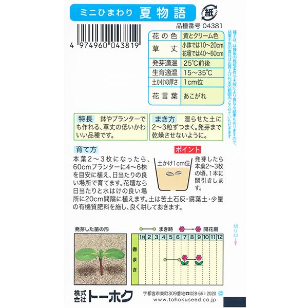 トーホク 花の種/種子 ひまわり ミニひまわり夏物語 内容量3ml 種