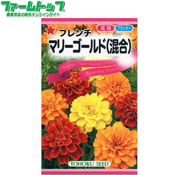 トーホク　花の種/種子　マリーゴールド　フレンチマリーゴールド（混合）　内容量4ml　種　（追跡可能メール便発送　全国一律370円）04359　　　 | ブランド登録なし