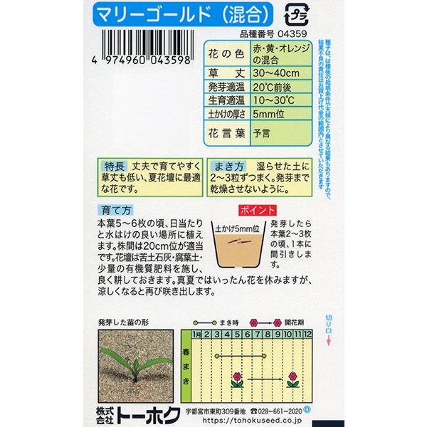 トーホク　花の種/種子　マリーゴールド　フレンチマリーゴールド（混合）　内容量4ml　種　（追跡可能メール便発送　全国一律370円）04359　　　 | ブランド登録なし | 01