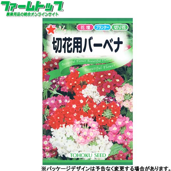 トーホク　花の種/種子　バーベナ　切花用バーベナ　内容量0.5ml　種　（追跡可能メール便発送　全国一律370円）00904 | ブランド登録なし