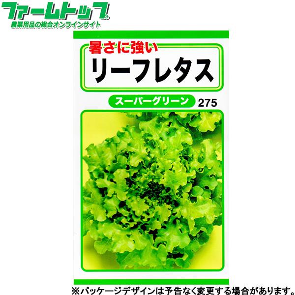 トーホク　野菜の種/種子　レタス　暑さに強いリーフレタス　内容量3ml　種　（追跡可能メール便発送　全国一律370円）06301　　　 | ブランド登録なし