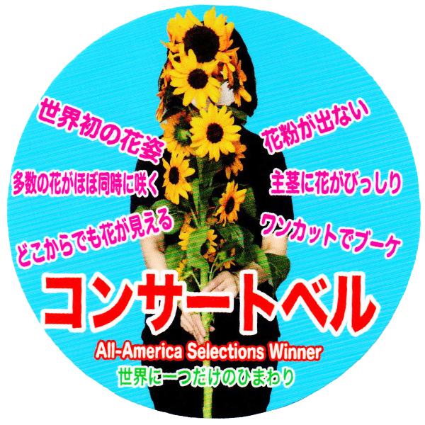 トーホク 花の種/種子 ひまわり コンサートベル 内容量2ml 種（追跡