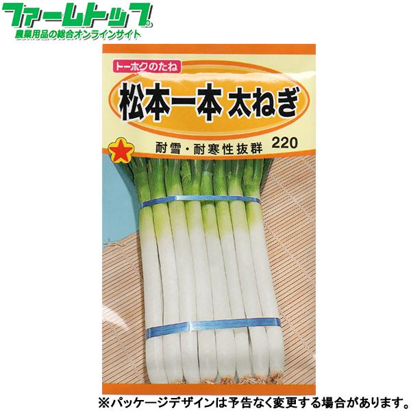 トーホク　野菜の種/種子　ねぎ　松本一本太ねぎ　内容量5ml　種　（追跡可能メール便発送　全国一律370円）02201　　　 | ブランド登録なし