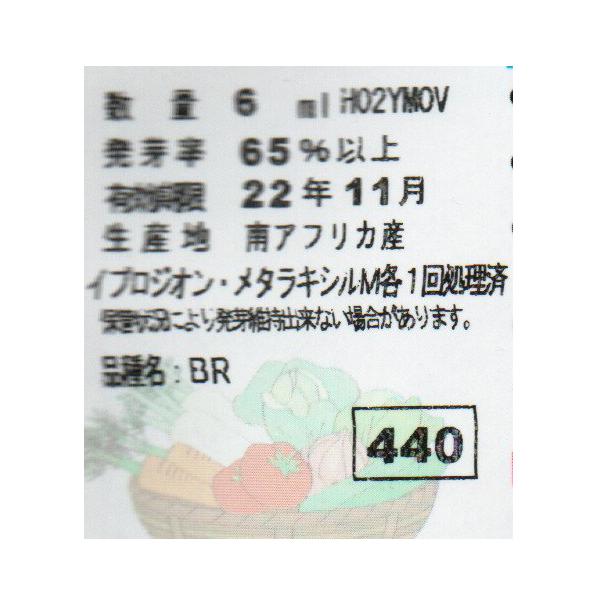 ウタネ 野菜の種/種子 にんじん スーパーレッド四季取五寸 種 (追跡可能メール便発送 全国一律370円)14503 |ファームトップ|02