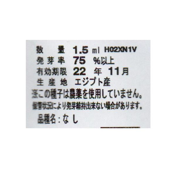 ウタネ 野菜の種/種子 モロヘイヤ 種 (追跡可能メール便発送 全国一律370円)04058 |ファームトップ|02