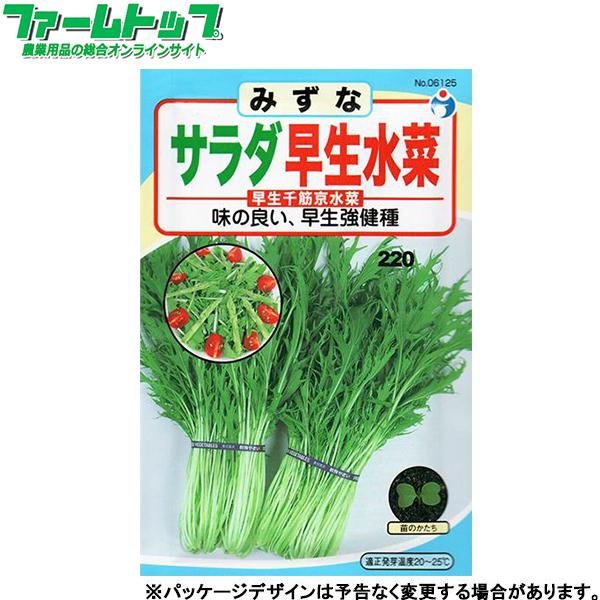 51 Off ウタネ 野菜の種 種子 みずな サラダ早生水菜 種 追跡可能メール便発送 全国一律370円 2円 Aynaelda Com