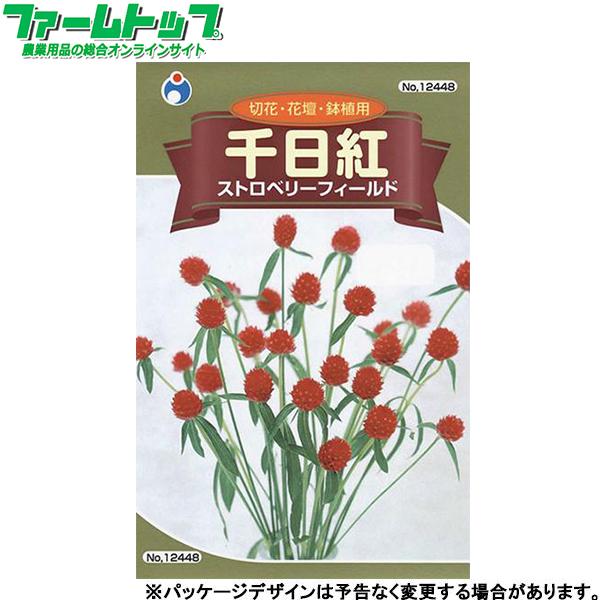 ウタネ 花の種 種子 千日紅 種 レターパックライト発送 全国一律370円