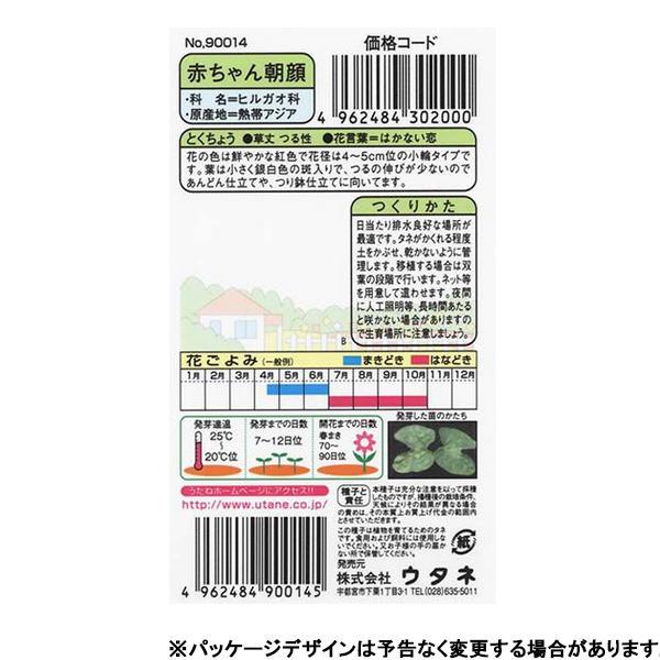 ウタネ 花の種/種子 あさがお 赤ちゃん朝顔 内容量0.5ml 種 （追跡可能