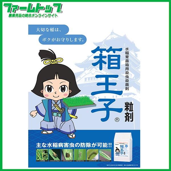 水稲育苗箱用殺虫殺菌剤 箱王子粒剤 1kg : ファームトップ - 通販