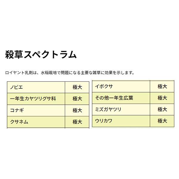 水稲用除草剤 ロイヤント乳剤 1l N ファームトップ 通販 Yahoo ショッピング