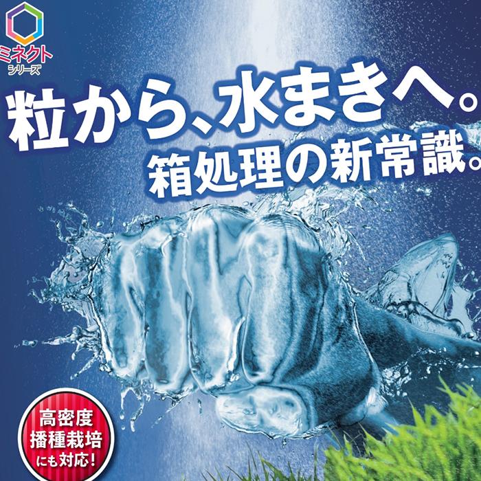 水稲育苗箱用殺虫殺菌剤 ミネクトフォルスターSC 1L : ファーム