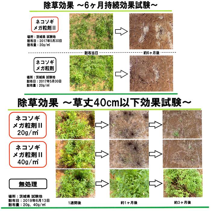 緑地管理用除草剤 ネコソギメガ粒剤II 7ｋｇ×3袋セット : nk000897