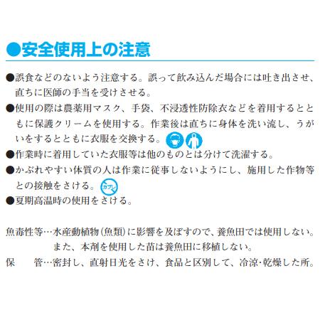 水稲育苗箱専用　殺虫殺菌剤　Csオリゼリディア箱粒剤　1kg×12袋セット　_3