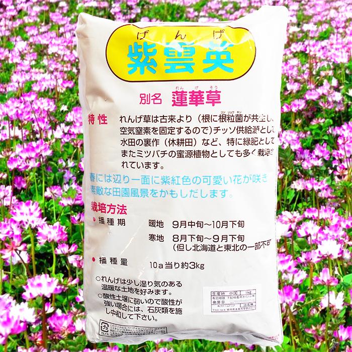 れんげの種 花の種 種子 レンゲ草 レンゲの種 花の種 1ｋｇ 景観用緑肥 ファームトップ 通販 Paypayモール