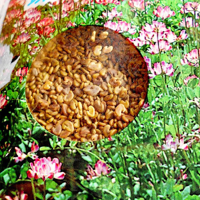 【1kg/1397円】れんげの種　花の種　種子　レンゲ草　レンゲの種 　花の種 　1ｋｇ×90袋セット｜farmtop｜03