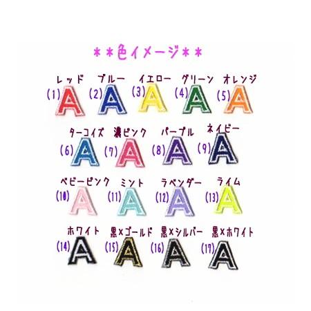 ニックネーム様 オーダー注文専用❗️ ニックネーム様 オーダー注文専用❗️ 大】ツイルロゴネーム刺繍の