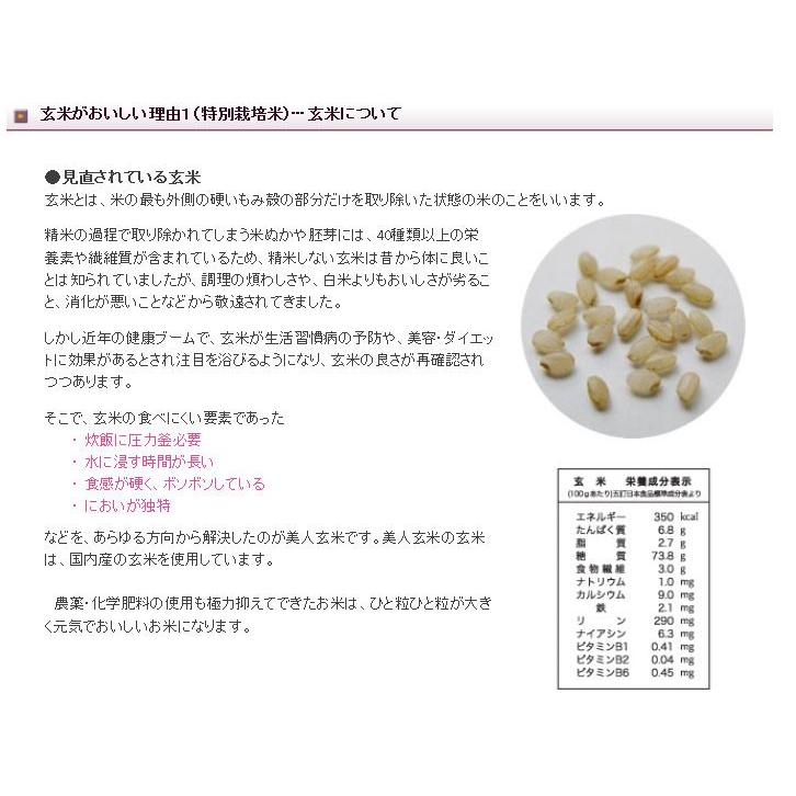 美人玄米 玄米 国産 黒米 大豆 無洗米 食物繊維 アントシアニン