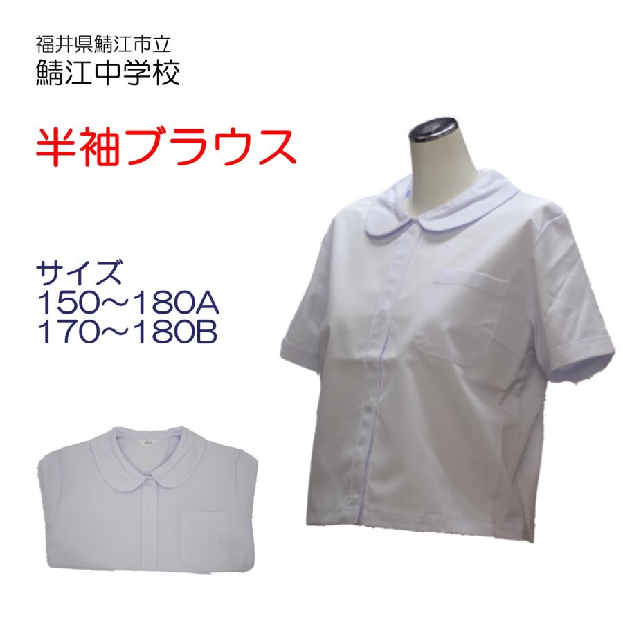 鯖江市立鯖江中学校 半袖ブラウス オーバーブラウス 指定 155〜180A