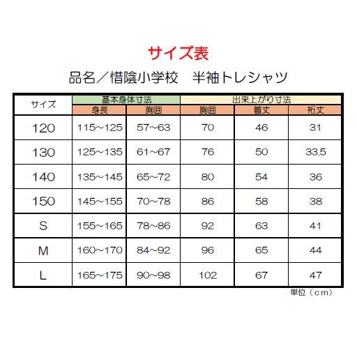 ふくちゃん 福知杏🪷ふくちゃん🦐 on X: 