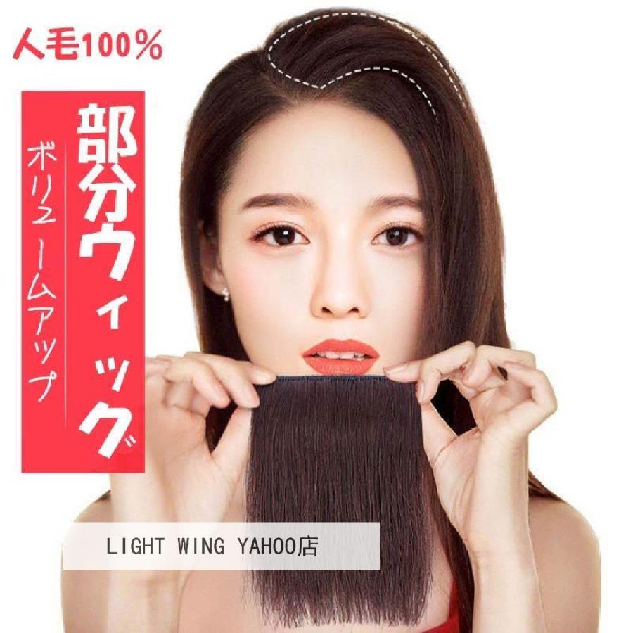 送料無料 付け毛 エクステ 人毛100 盛り髪 自然 ワンタッチ ウィッグ 脱毛隠し トップカバー 増毛 ボリュームアップ クリップ 未使用品 ボリューム ポイントウィッグ