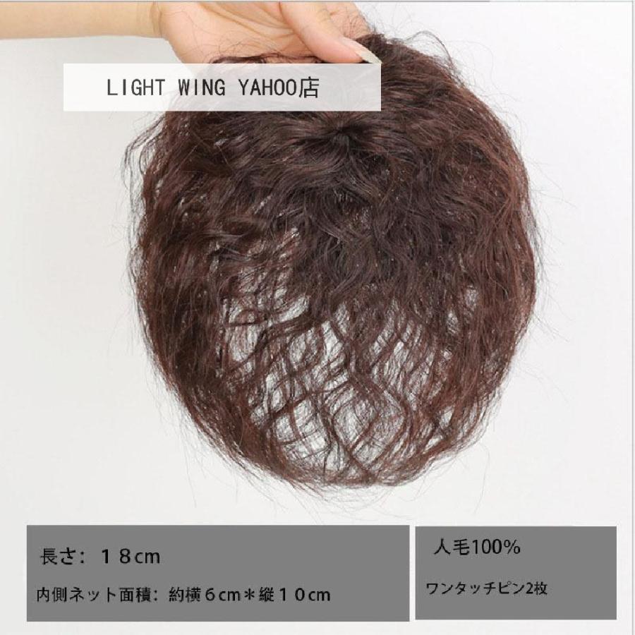 部分ウィッグ 医療用 人毛100% 総手植え ウィッグ ヘアーピース ご自身の髪に合わせてカッ ト/パーマ/ヘアーアイロンOK :2106251556001:ライトウィング - 通販 - Yahoo!ショッピング 部分ウィッグ 医療用 人毛100% 総手植え ウィッグ ヘアーピース ご自身の髪に合わせてカッ ト/パーマ/ヘアーアイロンOK :2106251556001:ライトウィング - 通販 - Yahoo!ショッピング