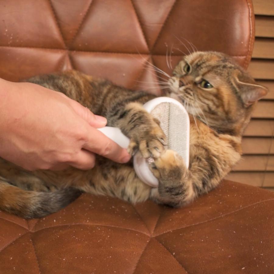 ペットサロントリマー監修】ペット用両面ブラシ「ワンプッシュ式！」犬