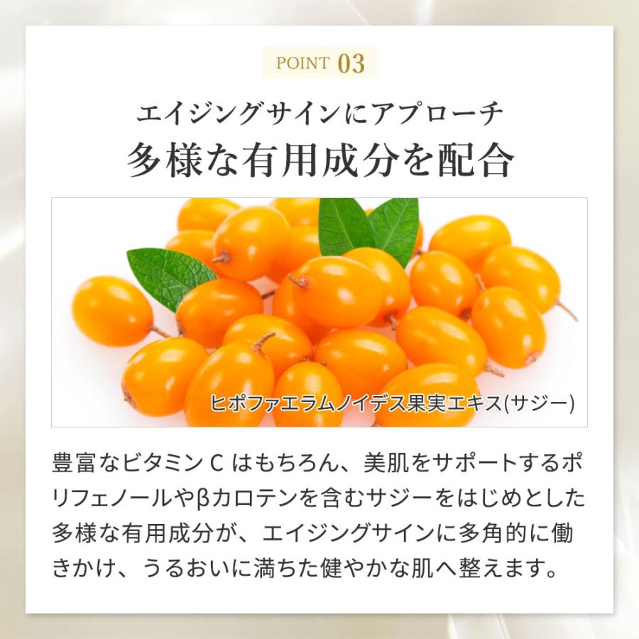 SPICARE V3 スピケア VSPIC Cライン C Line クレンジング メイク落とし