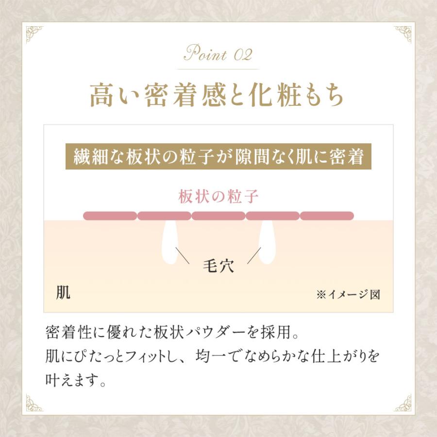 ミラノコレクション 【予約販売】ミラノコレクション フェースアップ