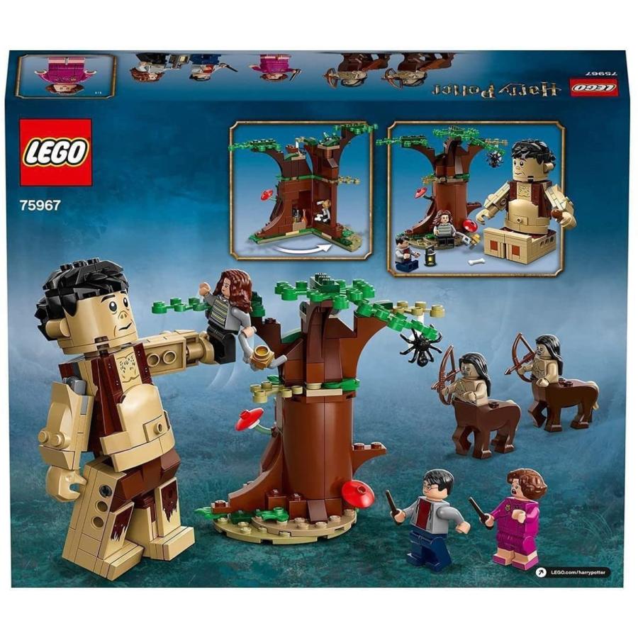 レゴ(LEGO) ハリーポッター 禁じられた森：グロウプとアン