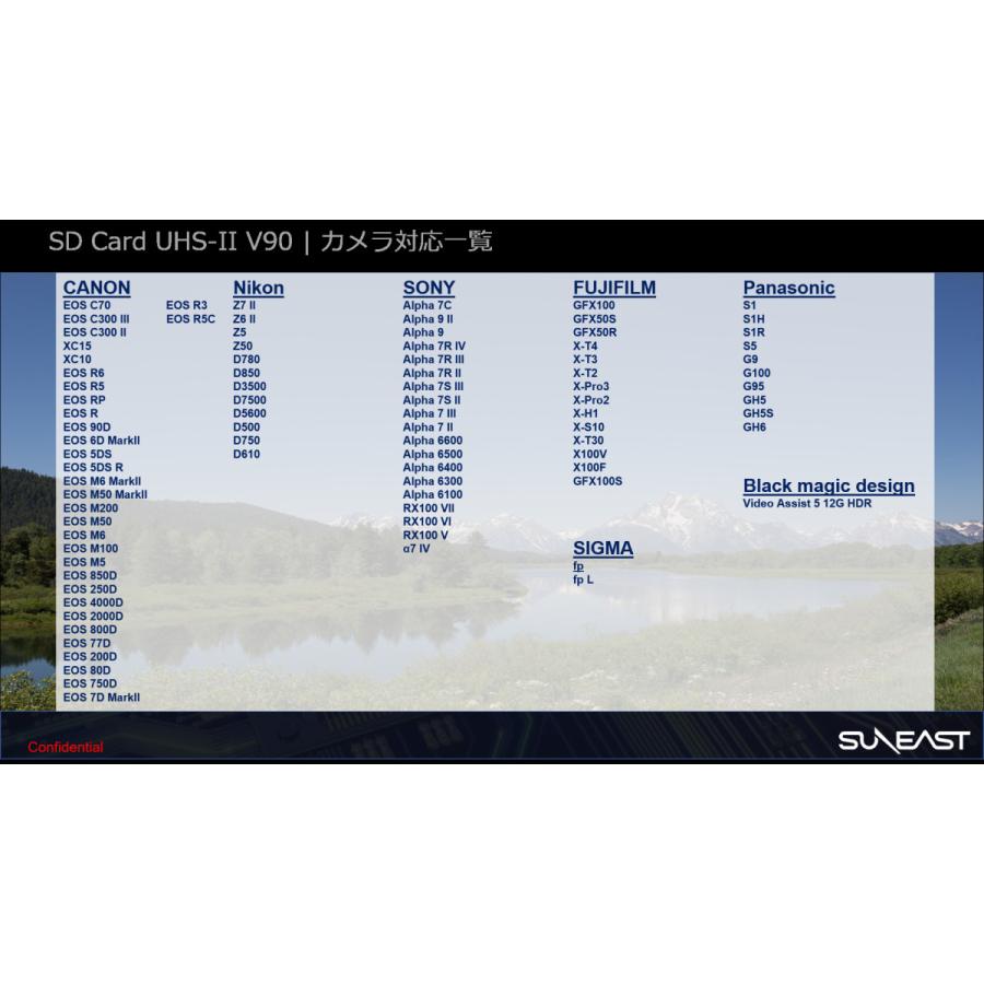 SUNEAST ULTIMATE PRO V90 UHS-II SDXCカード 512GB 最大300MB/s SUNEAST ULTIMATE PRO V90 UHS-II SDXCカード 512GB 最大300MB/s