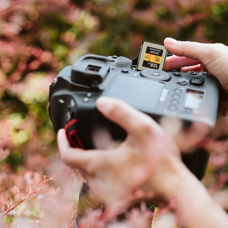 Lexar（レキサー） 【正規代理店】Lexar Professional CFexpress Type