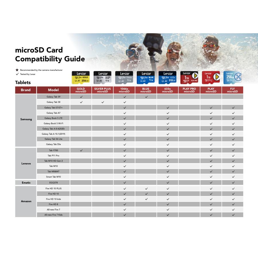 Lexar（レキサー） 【正規代理店】Lexar Professional Gold MicroSDXC