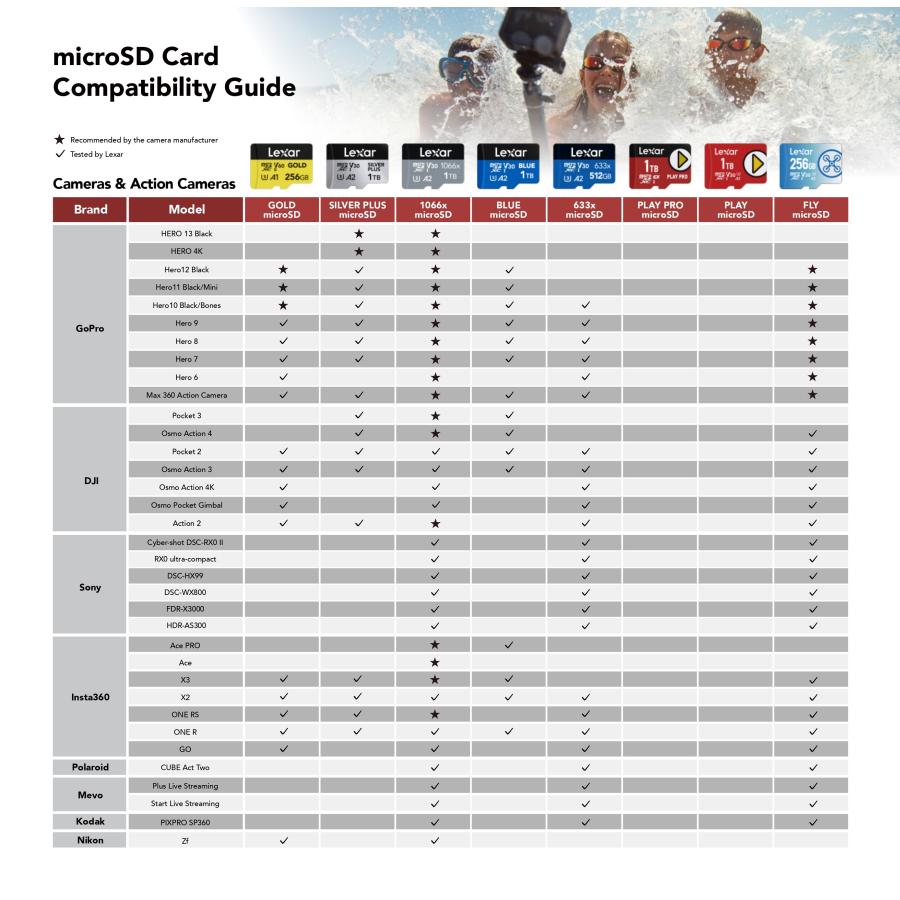 【正規代理店】Lexar Professional Gold MicroSDXC 256GB UHS-II V60 マイクロSDカード 高速 C10 U3 A1 フルHD 4K UHD ナビ ドラレコSDカード LMSGOLD256G-BNNNGの画像