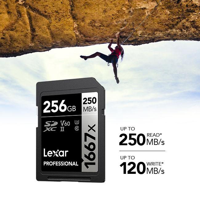 Lexar 【正規代理店】Lexar Professional 1667x SDXCカード
