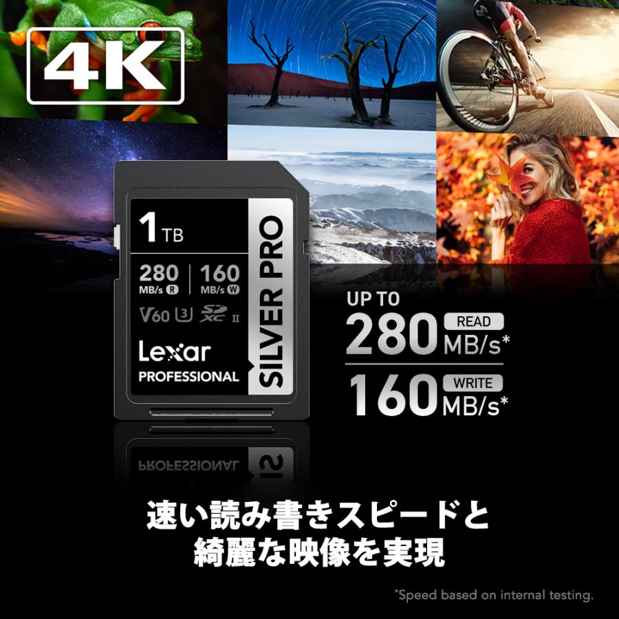 1TB SDXCカード Lexar レキサー Class10 SDカード Lexar SDXC Professional SILVER Plus 1066x UHS-I/U3/A2/4K