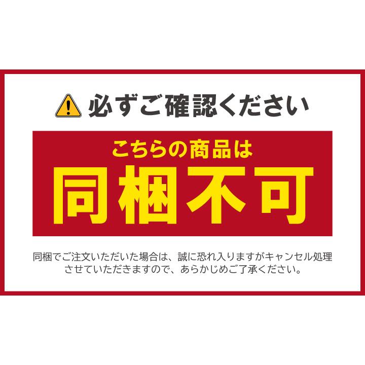 [同梱不可] 生体 ラスボラ・ヘテロモルファ プラチナブルー 1匹 淡水魚 観賞魚 熱帯魚 |  | 01