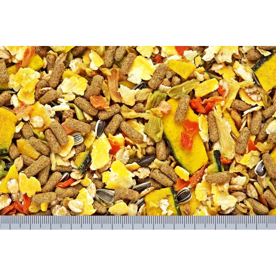 ハムハムミックス(ハムスター用)250g [trmt] |  | 02