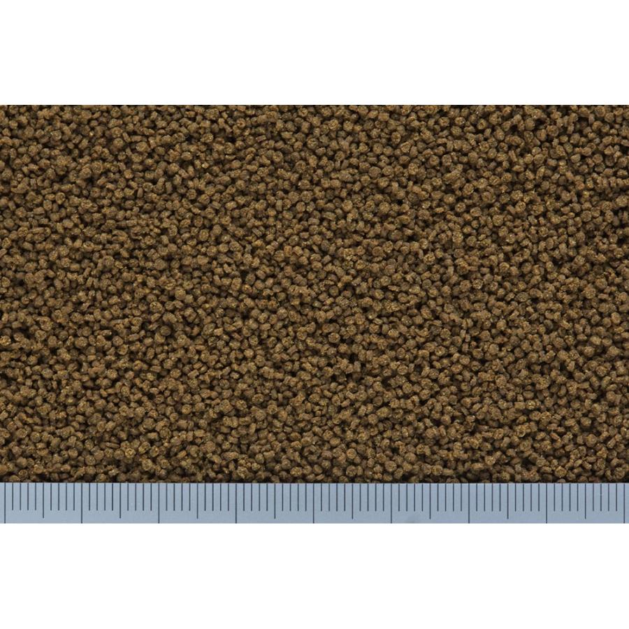 キョーリン ひかりらんちうディスク増体用900g らんちゅう 人工飼料 高脂肪 高たんぱく 納豆菌 乳酸菌 酵母菌 沈下性 国産 増体 |  | 02