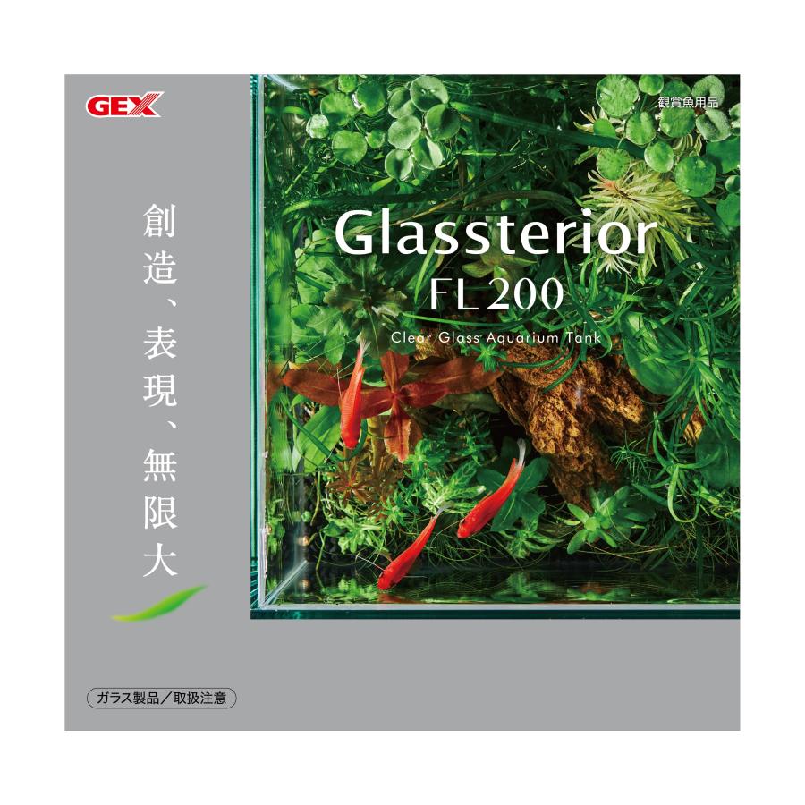 ジェックスMeGreen新鮮な水草付きグラステリア200セット20CM [trmt]