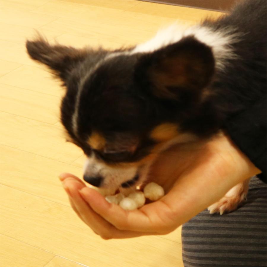 ドギーマン無添加良品ふわサクッ!お米ぼうろ40g 全犬種 スナック 国産うるち米 無添加 ノンフライ グルテンフリー 砂糖・食塩不使用 国産 |  | 03