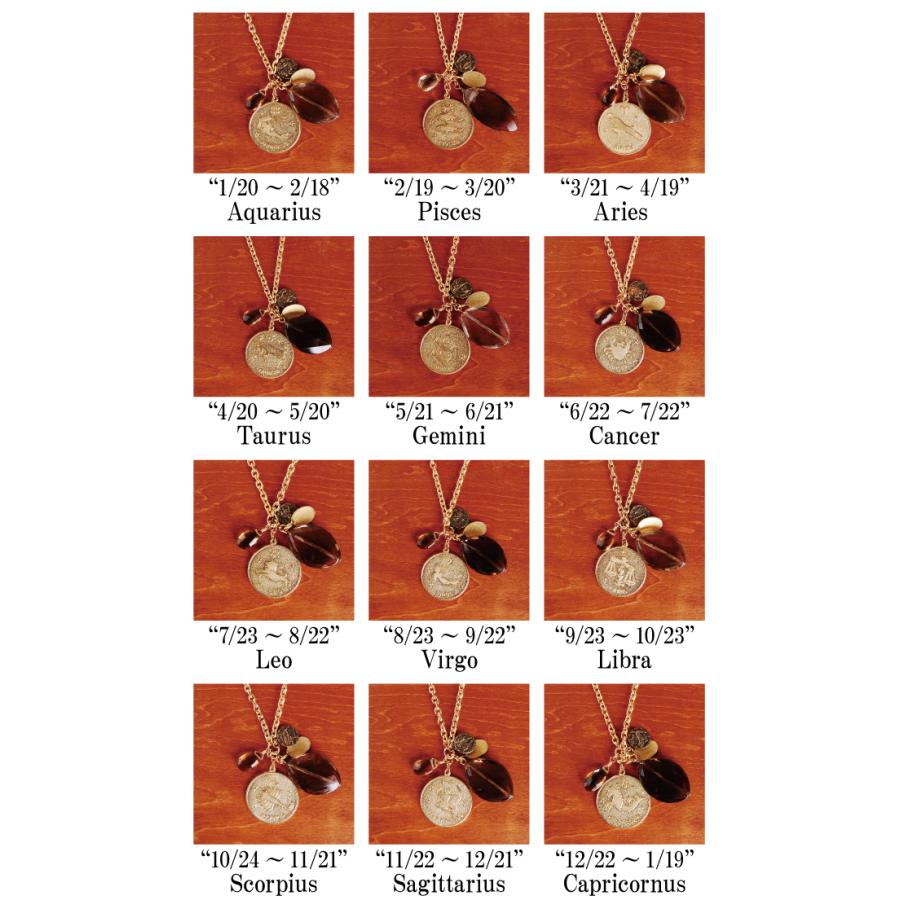 デイビッド・オウブレイ David Aubrey ZODIAC 星座 ネックレス ペンダント ネックレス 女性 レディース アクセサリー かわいい |  | 01