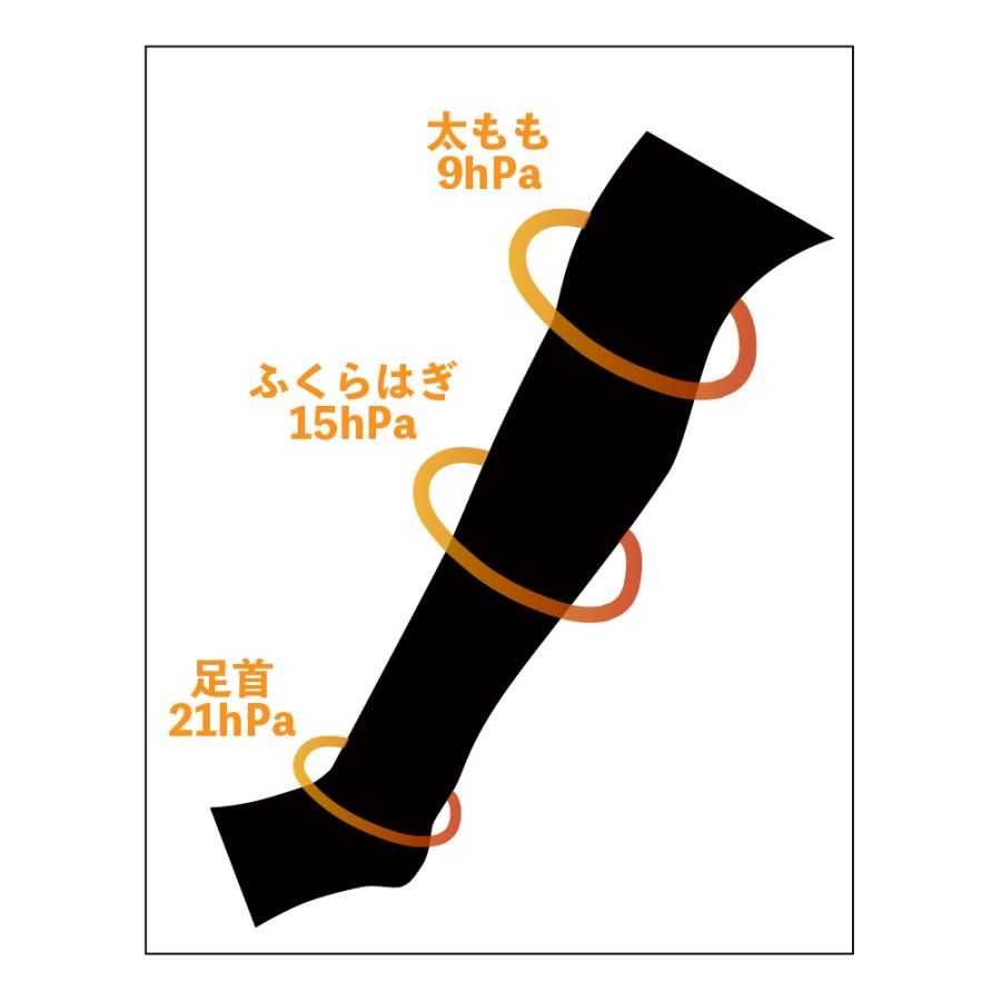 新品　FAVOLINK 腰痛ベルト ブラック XXS 黒　スリムソックス　着圧 安井友梨 監修 FAVOスリムソックス 一般医療機器 着圧ソックス むくみ